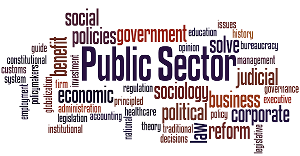 public sector 